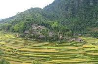 Trek Vietnam à la rencontres des Thais et Muong à Pu Luong, randonnee pour village canh nang