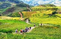 treks randonnees Vietnam: Conquerir le fansipan, ascension au 2400m
