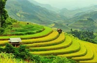 voyages de noces: vietnam fascinant, decouverte des rizieres en terrasse a sapa