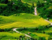 Legendary Trail of Vietnam