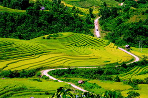 Special tours vietnam: Legendary trail of Vietnam
