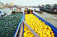 voyages vietnam cambodge: visite marche flottant Cai Be
