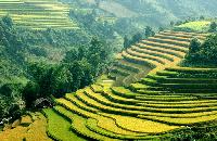 voyages vietnam hors des sentiers battus: mosaique ethnique du vietnam, rizieres en terrasse a than uyen