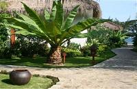 Cham Villa Mui Ne7