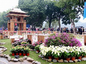 Les floralies de hanoi 2012