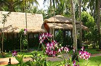 Lipa Lodge Resort 
