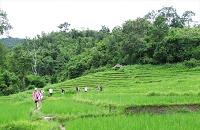 Trek Vietnam à la rencontres des Thais et Muong à Pu Luong, visite mai chau
