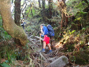 trekking-vietnam_conquer-the-fansipan-2
