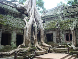 Sejours Cambodge: Decouverte approfondie du Cambodge