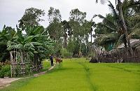 Voyages Cambodge: Decouverte approfondie du Cambodge, visite des villages