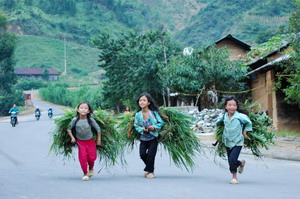 Treks Vietnam, Trek en haut Tonkin et la baie d'halong
