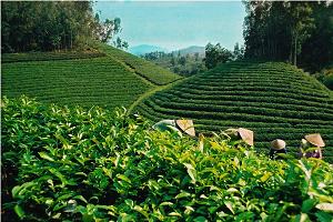 decouverte des incontournables vietnam, circuits vietnam spectaculaire