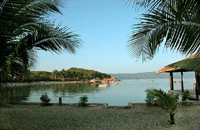 Wale Island Resort 