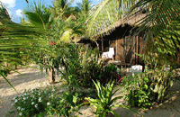 Wale Island Resort Nhatrang